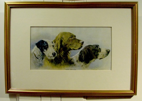 Kennel companions print wire - companions,