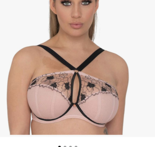 Curvy kate scantilly - kate,