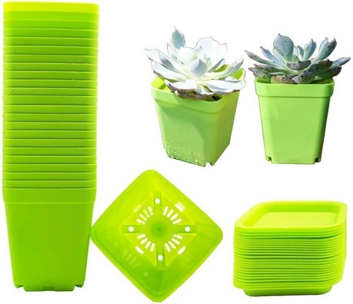 Pack green small - 24,