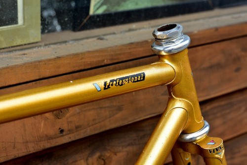 Vivalo professional njs - njs,