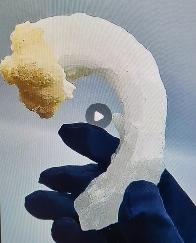 Selenite horn - selenite, –