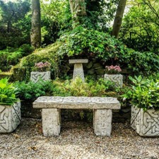 Top Value Celtic Garden 6pc