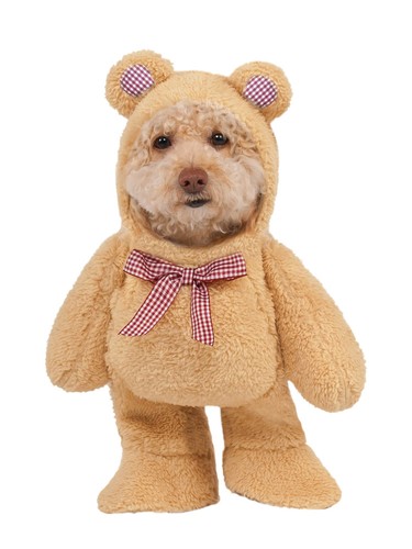 Medium brown teddy - medium,