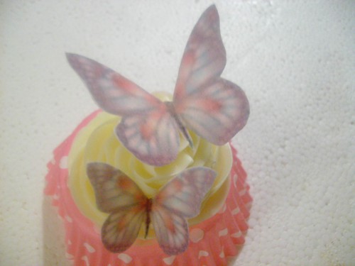 Precut large small - small, edible