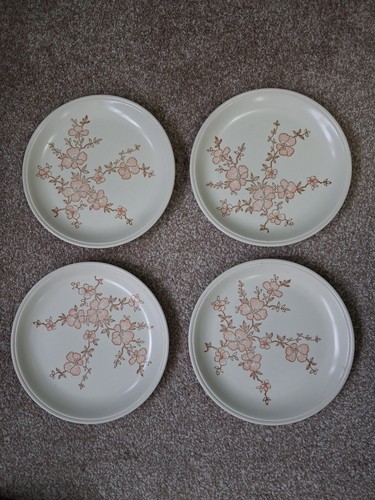 Vintage dinner plates - x,