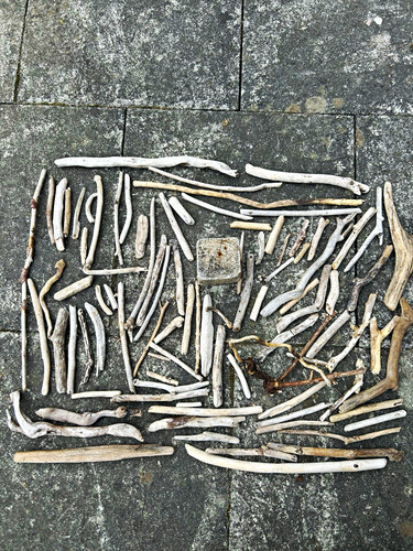 Natural driftwood stick - driftwood,