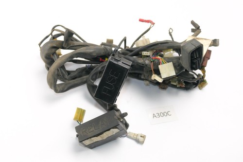 Aprilia etv 1000 - 1000, capo