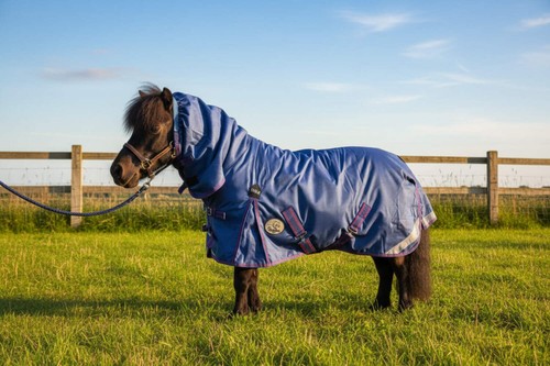 Ruggles 100g combo turnout rug - ruggles,