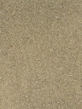 Baby Quail Starter Powder From