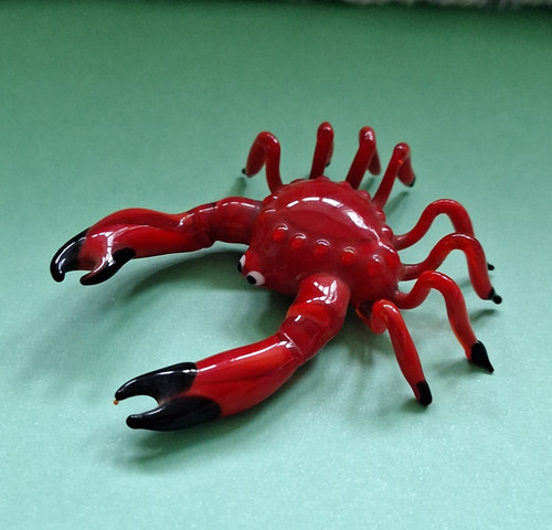 Red glass crab shellfish - crab,