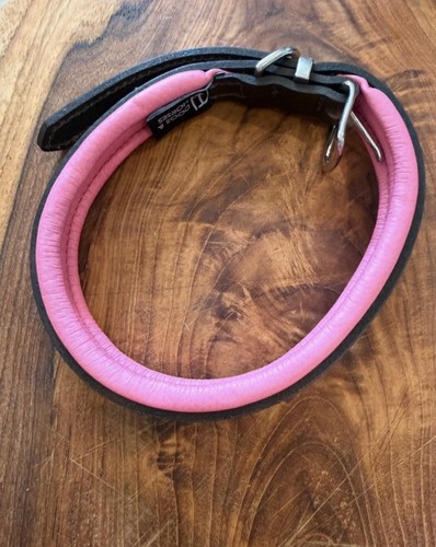 Dog and horses leather - and,