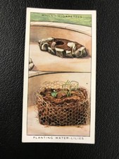 1938 Wills's Garden Hints #6