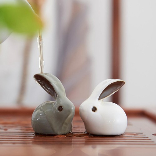 Tea pet rabbit - pet,