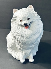 NEW! WHITE POMERANIAN SPITZ