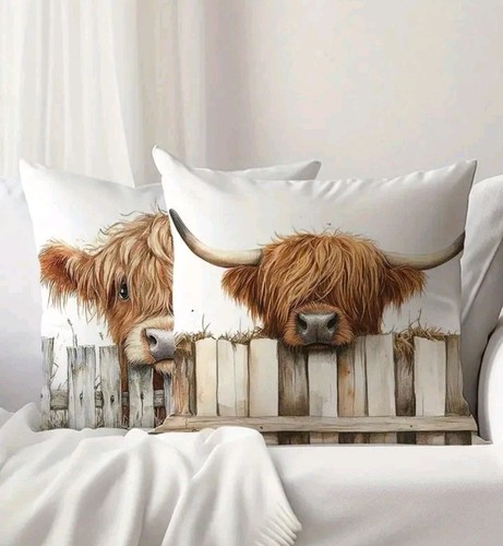 Scottish highland cow - highland,