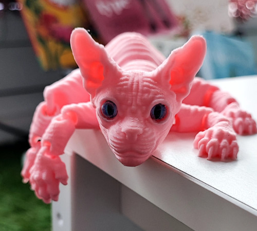 Printed sphynx cat - printed,
