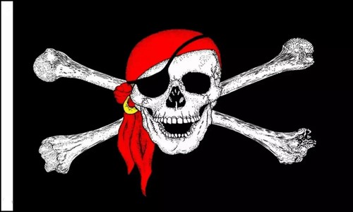 Pirate - x, cm)