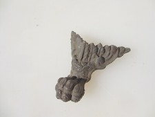 Victorian Brass Feet Lion