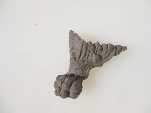 Victorian brass feet lion - victorian,
