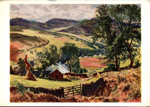 Late summer scotland j - in,