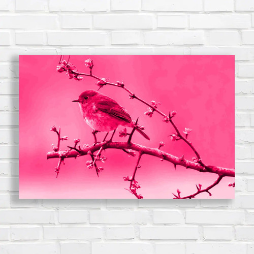 Robins spring hawthorn tree - in,