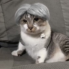 Pet Wig Middle Parted Cat Wig