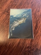 HAJIME SORAYAMA COLLECTOR