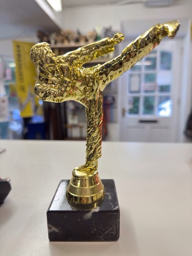 Male martial arts karate award - martial,