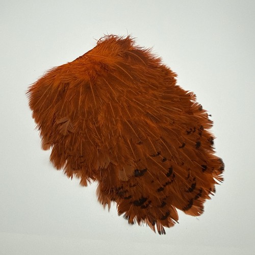 Soft hackle hen - soft,