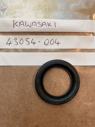 Kawasaki rear brake caliper