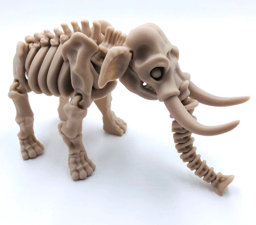 Printed skeleton elephant - skeleton,