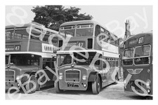 Bus Photograph HANTS & DORSET