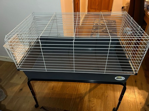 Indoor rabbit cage - cage, on