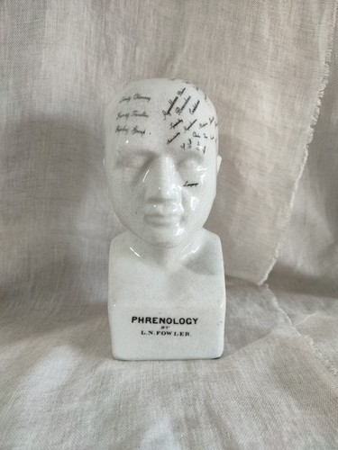 Vintage style phrenology head - vintage,