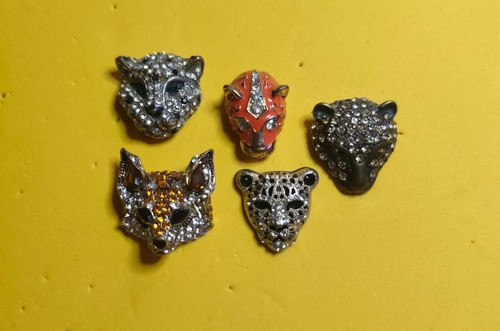 Animal head brooch - brooch, of