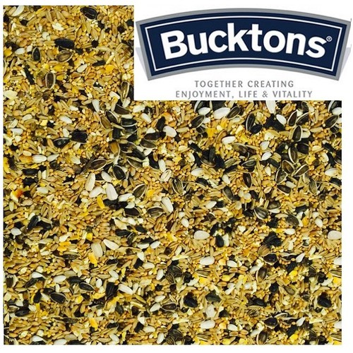 Bucktons large parakeet - large,