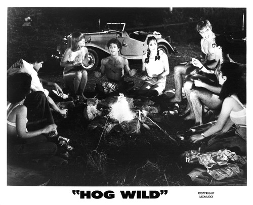 Hog wild 1980 - movie, photo