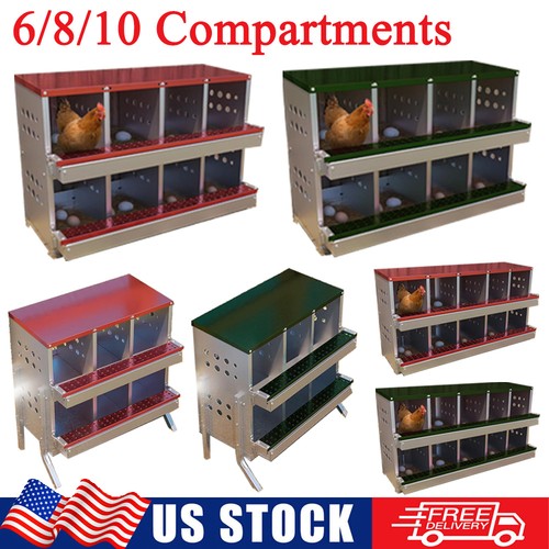 Hole chicken nesting - 6/8/10,
