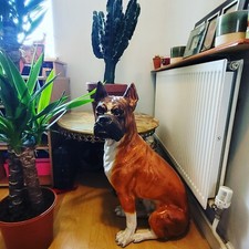 Item not selling so any offers considered until I take down. Thank you 