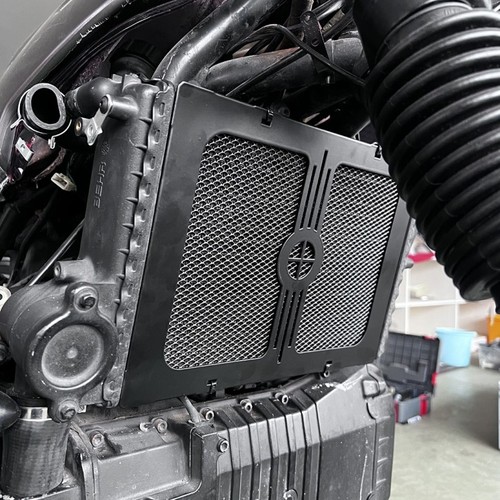 Radiator protection grille