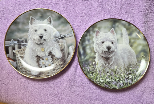 Danbury mint westies - 2x,