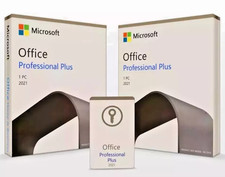 Microsoft Office Professional