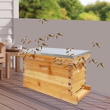 Wooden Bee Incubator 5-Frame Bee Hive Box Kit Queen Bees Farming Hive w/5 Frames