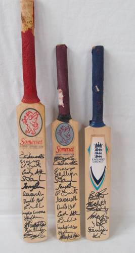 Mini cricket bats somerset - mini,