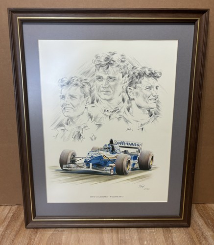David coulthard williams - david,