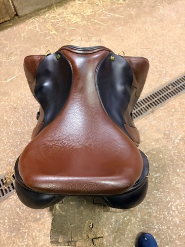 Ideal gazelle saddle in - saddle,