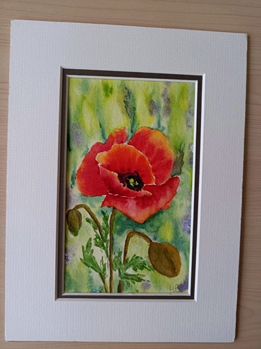 Original signed mounted - an,