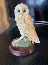 Border Fine Arts Barn Owl