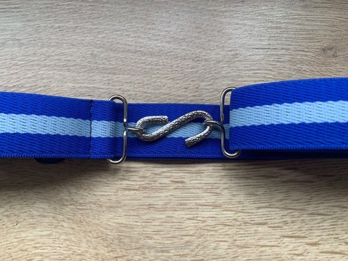Elasticated snake belt blue - snake,