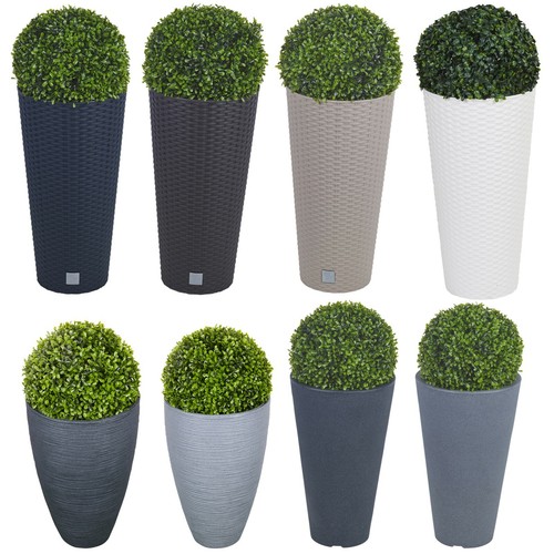 Elegant tall large plant - elegant, pot